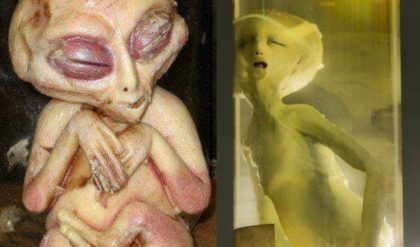 HOT NEWS: Exploring Parallel Realities: Unraveling the Mystery of Human-Alien Clones in UFO Abduction Phenomena.