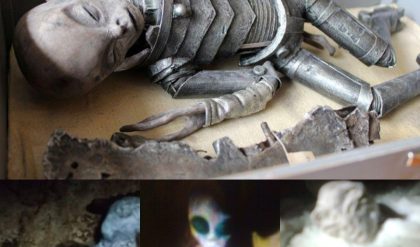 HOT NEWS: Extraterrestrial Mysteries: Unraveling the Discovery of Alien Bodies in a Nazca Plateau Cave