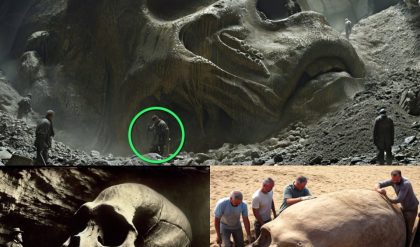 Shocking News: Gobi Desert Unearths Giant Skeletons: Clues to an Ancient Alien Civilization?