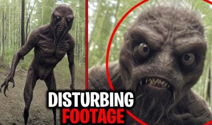 BREAKING NEWS: Terrifying Wild Encounters: A Spine-Chilling Compilation of Creatures Caught on Camera.