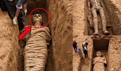 HOT NEWS: Discovery of Forgotten Mummies Unveils an Unknown Civilization, Sending Shockwaves Across the World!.