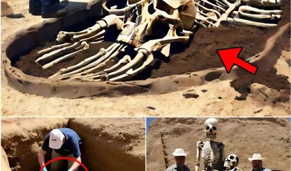 BREAKING NEWS: A 50-Foot-Tall Giant Humanoid Skeleton Discovered at an Ancient Burial Site by Modern Archaeologists.