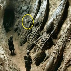 Historic Discovery: Astonishing Evidence of Extraterrestrial Presence Uncovered in Egypt