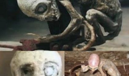 Breakthrough Discovery: The True Alien Identity of the Mexico Babies Revealed!.