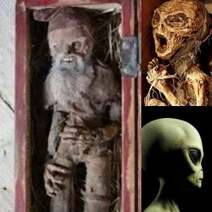 HOT NEWS: Unearthing the Unbelievable: Discovery of a Unique Alien Body Found in a Mexican Mine.