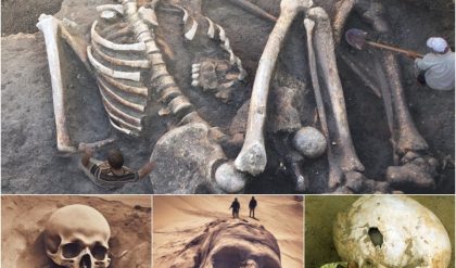 BREAKING: Unraveling the Giant Skeleton Mystery: Exploring Possible Alien Origins Behind Human Giants.