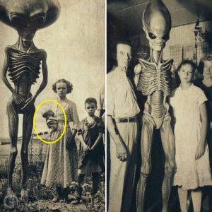 American History Enigma: Midwestern Family’s Astonishing Alien Encounter in 1917.