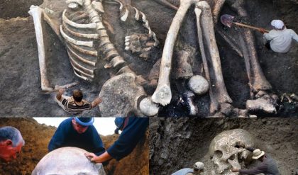 Shocking Discovery: 20 Giant Skeletons Unearthed, Sparking Fears of Their Return.