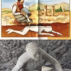 HOT NEWS: Dispelling Myths: Uncovering the Truth Behind Pompeii's 'Petrified Bodies'.