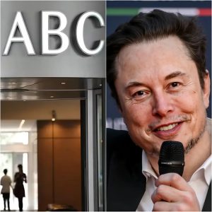 Elon Musk calls for boycott of ABC Network and severe sanctions: “Let’s Take ‘Em Down!”