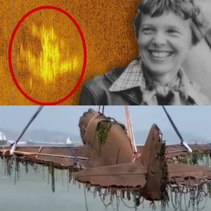 HOT NEWS: Amelia Earhart’s Lost Aircraft: Groundbreaking Discovery of Missing Artifacts After 70 Years. (VIDEO)