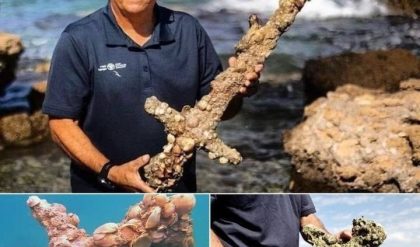 Stunning Discovery: 900,000-Year-Old Crusader Sword Found in the Depths of the Mediterranean, Blade Still Sharp!.