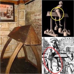 HOT: Twisted Justifications: The Cruel Logic Behind the Spanish Donkey Torture Device...