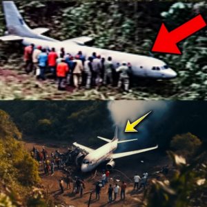 Breakthrough Discovery: Scientists Finally Pinpoint Location of Malaysia Flight 370 After Years of Uncertainty!...