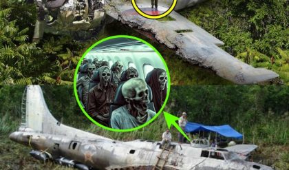 HOT NEWS: 1935 Plane with 587 Passengers Discovered in New Guinea Jungle Only Dry Bones Remain!.